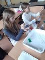 Laboratoria Przyszłości "Tęcza w probówce", foto nr 4, 