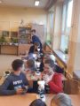 OBSERWACJE MIKROSKOPOWE JAKO ŹRÓDŁO WIEDZY BIOLOGICZNEJ..., foto nr 6, 