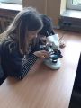 Laboratoria Przyszłości, foto nr 10, 