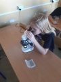 Mikroskopowanie, foto nr 5, 