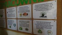 Nasza wymarzona Ekopracownia, foto nr 52, 