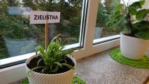 Nasza wymarzona Ekopracownia, foto nr 59, 