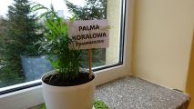 Nasza wymarzona Ekopracownia, foto nr 65, 