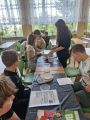 5b, foto nr 3, 