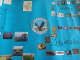 Galeria zdjęć, foto nr 1, 